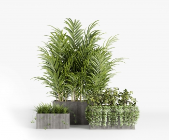 Modern Shrubbery-ID:351336008