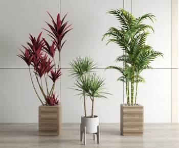 Modern Potted Green Plant-ID:404237038