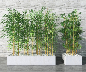 Modern Bamboo-ID:673449998