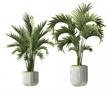 Modern Potted Green Plant-ID:922481068