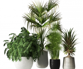 Modern Potted Green Plant-ID:625689039