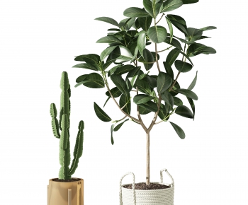 Modern Potted Green Plant-ID:439677003
