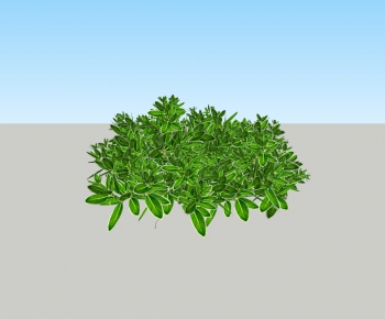 Modern Potted Green Plant-ID:895610093