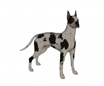 Modern Animal Dog-ID:649768112