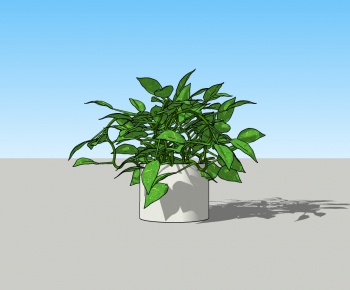 Modern Potted Green Plant-ID:361531025