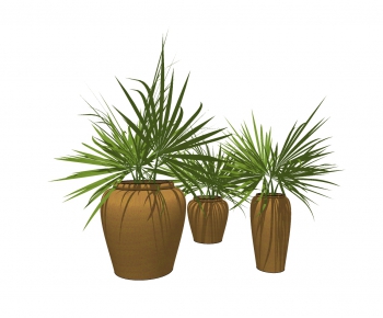 Modern Potted Green Plant-ID:950021986