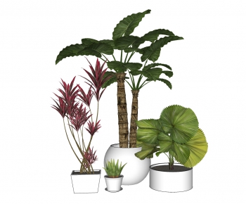 Modern Potted Green Plant-ID:660382999