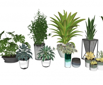Modern Potted Green Plant-ID:148302088