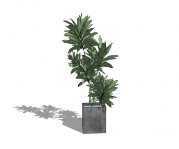 Modern Potted Green Plant-ID:234097965