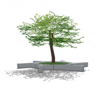 Modern Tree-ID:335294015