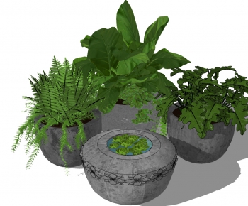 Modern Potted Green Plant-ID:910887006