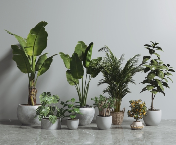 Modern Potted Green Plant-ID:757777939