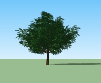 Modern Tree-ID:336220036