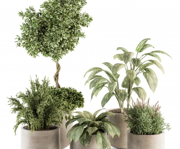 Modern Potted Green Plant-ID:639493946