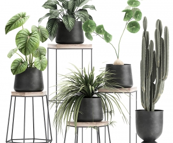 Modern Potted Green Plant-ID:587079051
