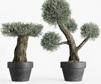 Modern Potted Green Plant-ID:483109008