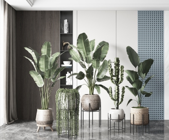 Modern Potted Green Plant-ID:647376066