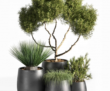 Modern Potted Green Plant-ID:160429951