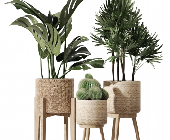 Modern Potted Green Plant-ID:478888999