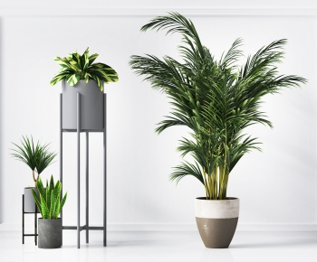 Modern Potted Green Plant-ID:167833098