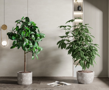 Modern Potted Green Plant-ID:736414917