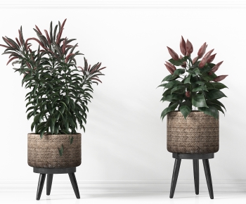 Modern Potted Green Plant-ID:940808069