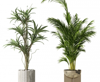 Modern Potted Green Plant-ID:860400236