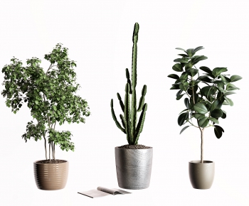 Modern Potted Green Plant-ID:716284045