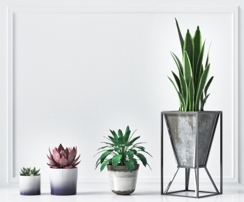 Modern Potted Green Plant-ID:970932019