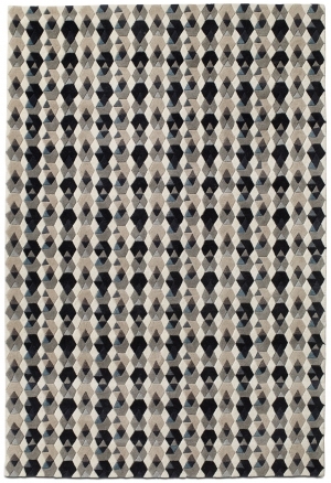 ModernModern Rug