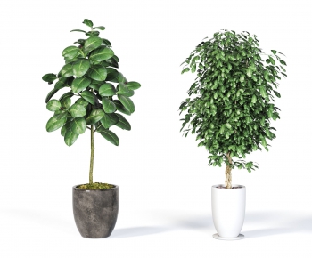 Modern Potted Green Plant-ID:358335029