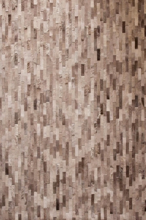 ModernModern Rug