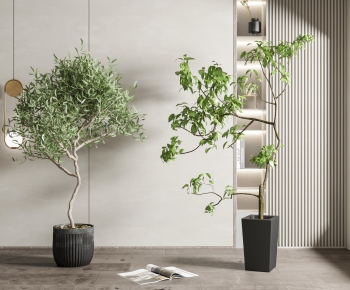 Modern Potted Green Plant-ID:915904059