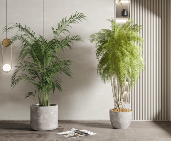 Modern Potted Green Plant-ID:579170948