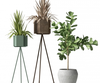 Modern Potted Green Plant-ID:759176973