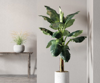 Modern Potted Green Plant-ID:726170561