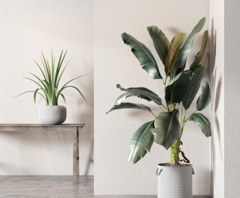 Modern Potted Green Plant-ID:868900062