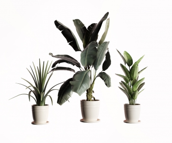 Modern Potted Green Plant-ID:201900018