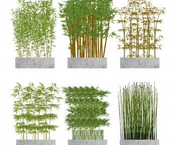 Modern Bamboo-ID:894277107