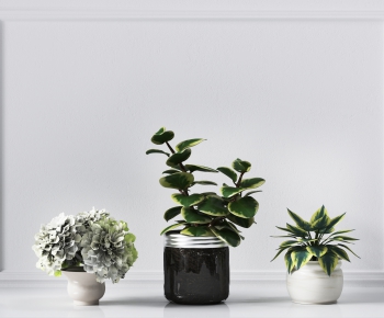 Modern Potted Green Plant-ID:367615946