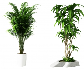 Modern Potted Green Plant-ID:846832992