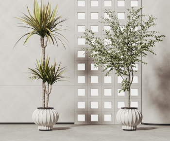 Modern Potted Green Plant-ID:804524905