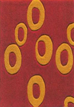 ModernModern Rug