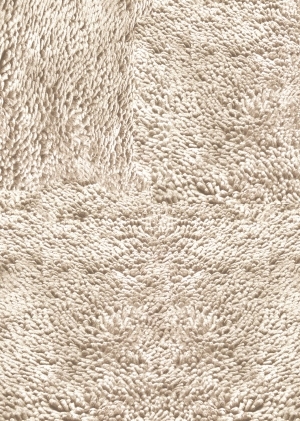 ModernAnimal Carpet