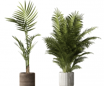 Modern Potted Green Plant-ID:854206093