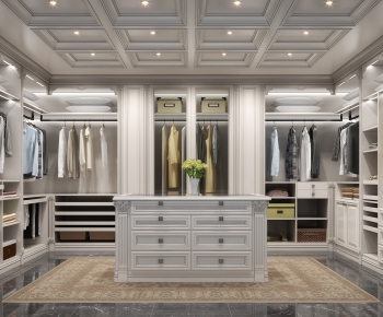 American Style Clothes Storage Area-ID:238668912