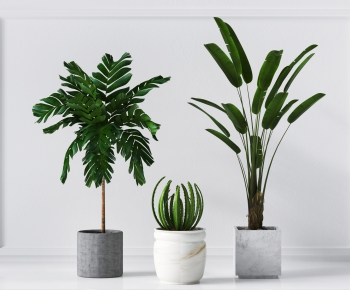 Modern Potted Green Plant-ID:637061126