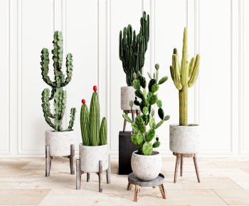 Modern Potted Green Plant-ID:795687917