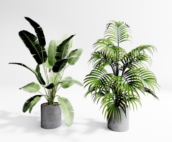 Modern Potted Green Plant-ID:543844949