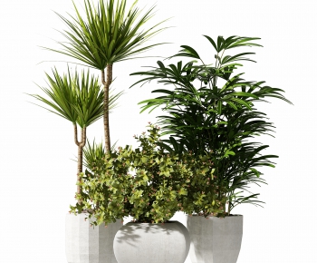 Modern Potted Green Plant-ID:367825981
